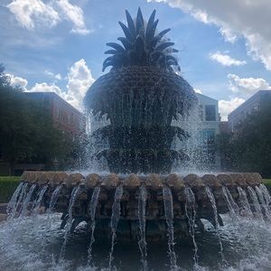 Meet your Posher, Alanna